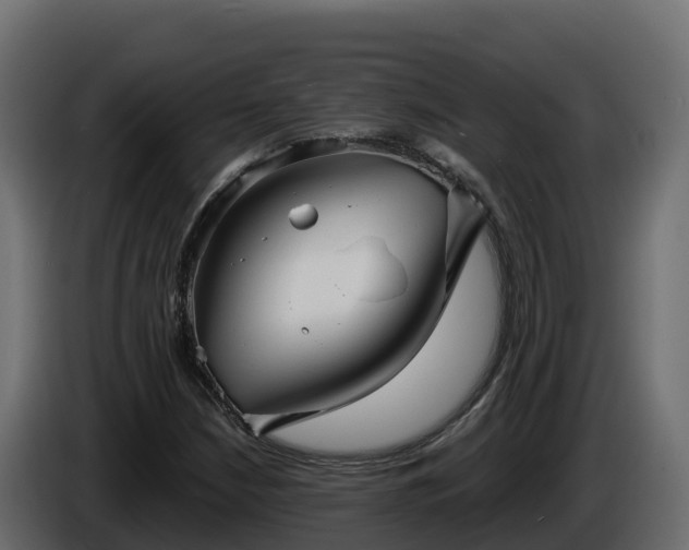 X0000085761210200703231147