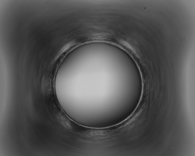 X0000085761211200703231147