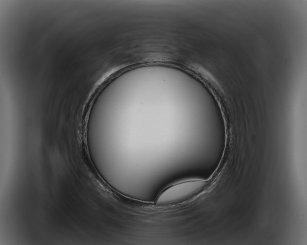 X0000085761212200703231147