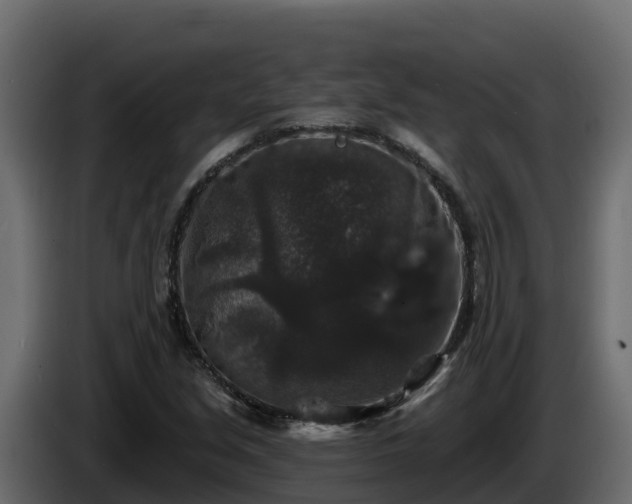 X0000085761213200703231147