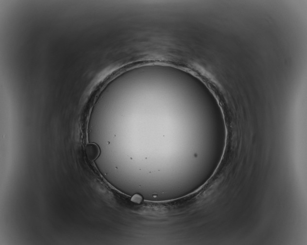 X0000085761215200703231147