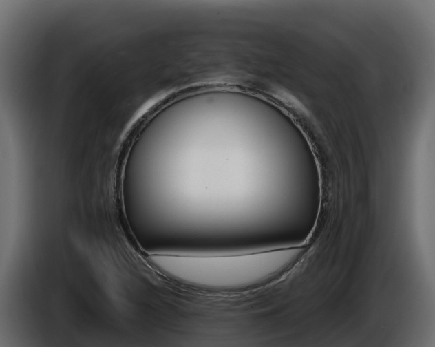 X0000085761216200703231147