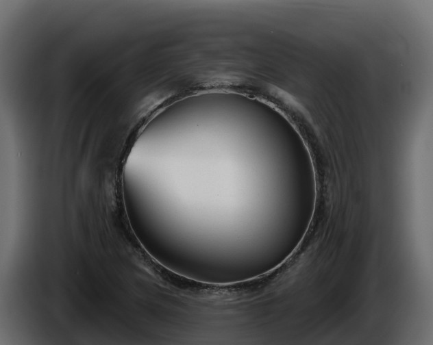 X0000085761217200703231147