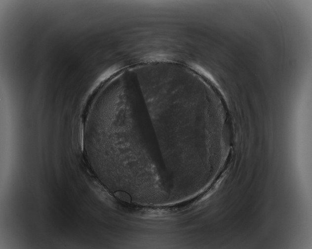 X0000085761219200703231147