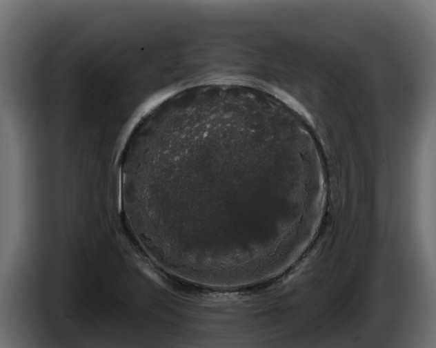 X0000085761223200703231147