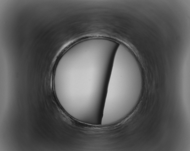 X0000085761224200703231147