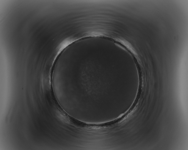 X0000085761226200703231147