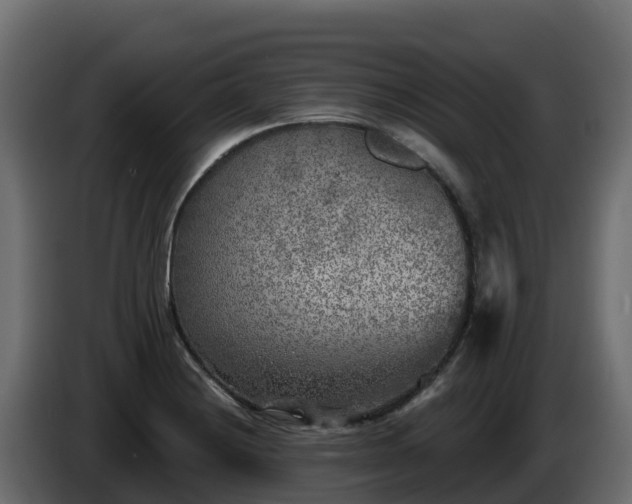 X0000085761228200703231147