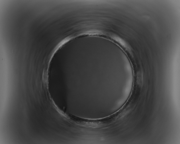 X0000085761229200703231147