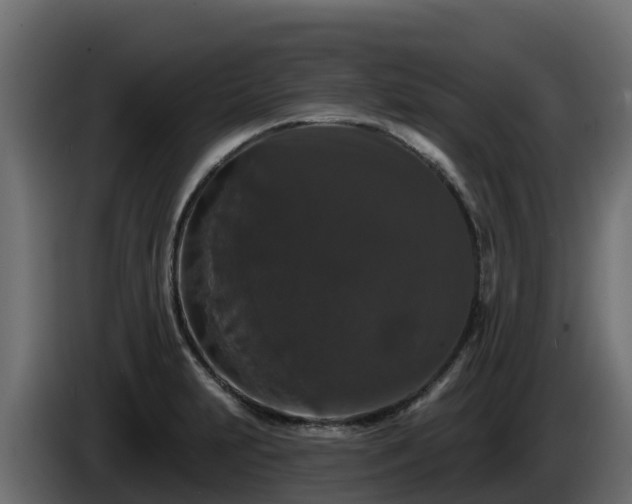 X0000085761231200703231147