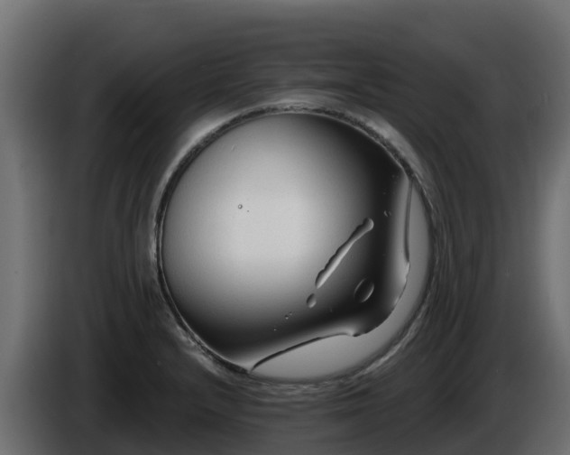 X0000085761232200703231147
