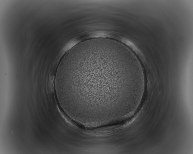 X0000085761233200703231147