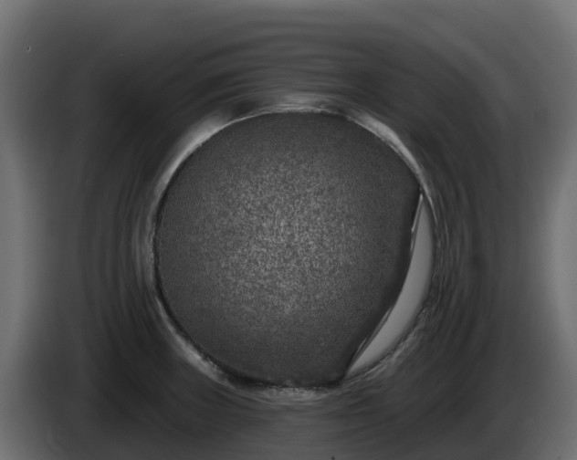 X0000085761235200703231147