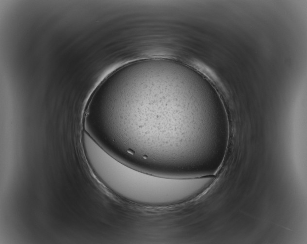 X0000085761236200703231147