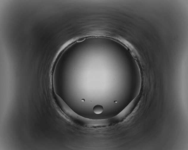 X0000085761238200703231147