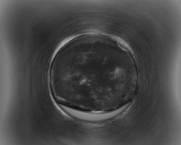 X0000085761239200703231147