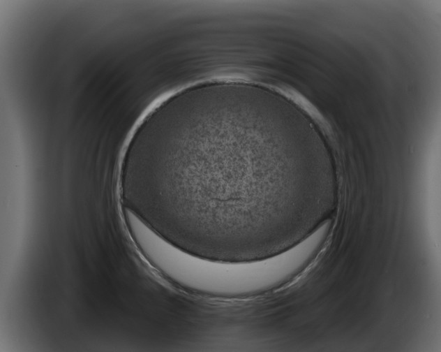 X0000085761240200703231147