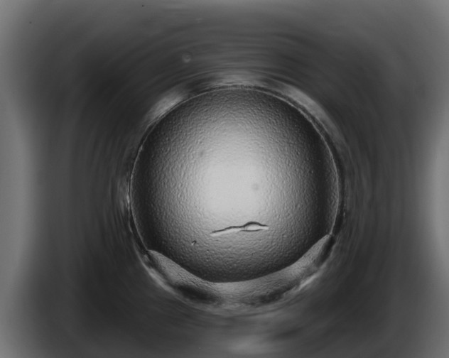 X0000085761241200703231147