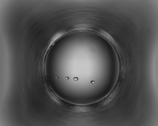 X0000085761242200703231147
