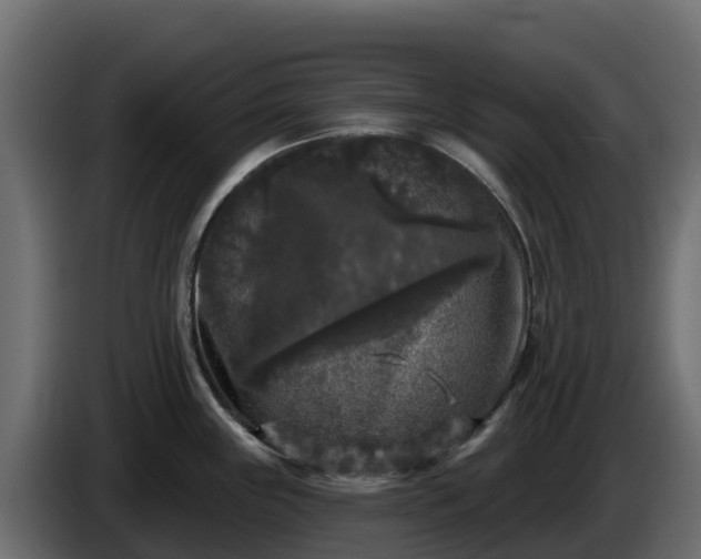 X0000085761243200703231147