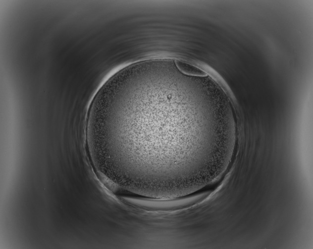 X0000085761244200703231147