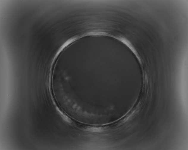 X0000085761245200703231147