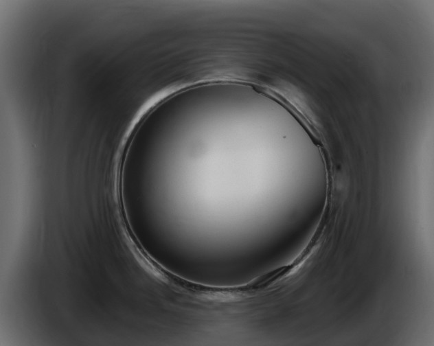 X0000085761246200703231147