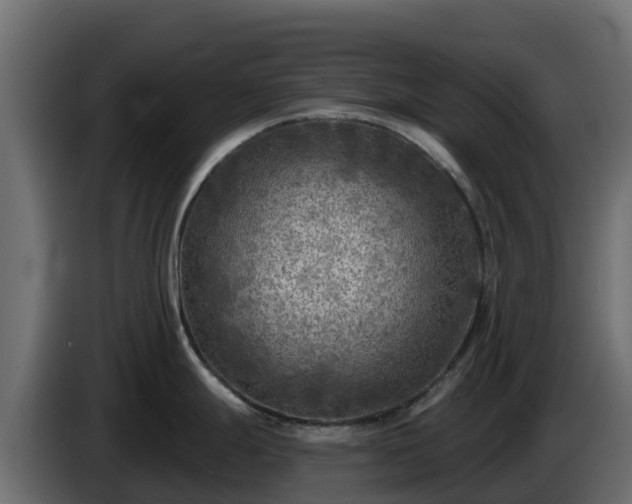 X0000085761247200703231147