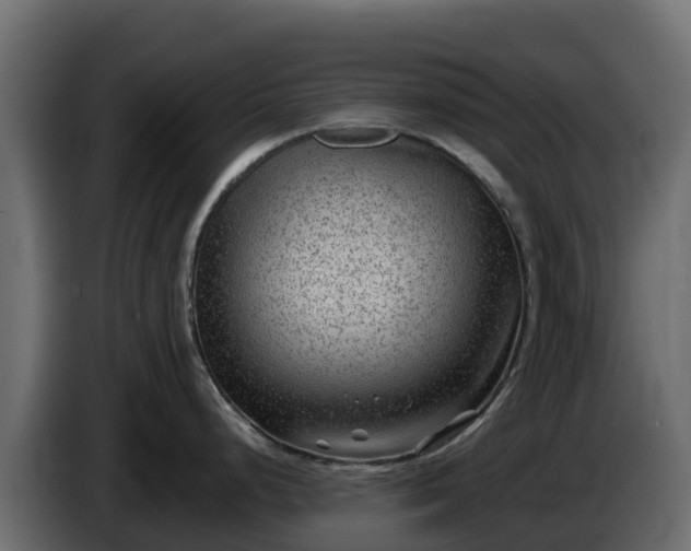 X0000085761248200703231147
