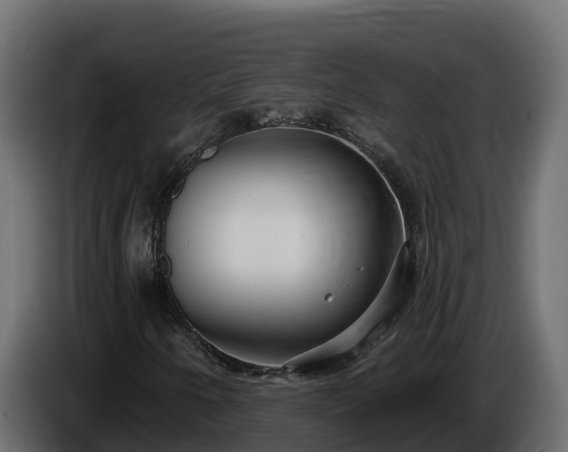 X0000085761250200703231147