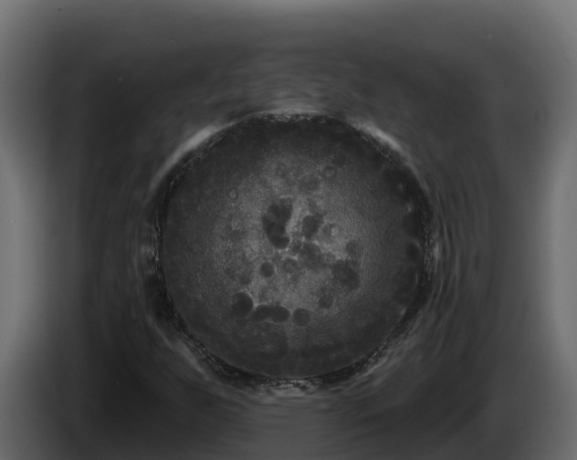 X0000085761255200703231147