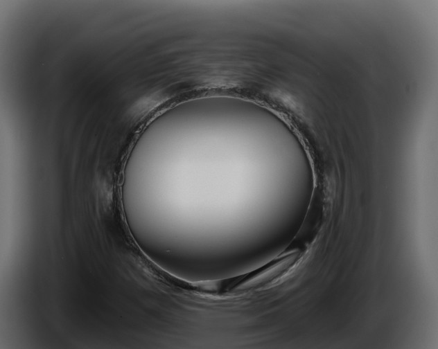 X0000085761257200703231147