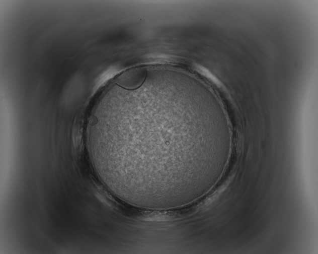 X0000085761259200703231147