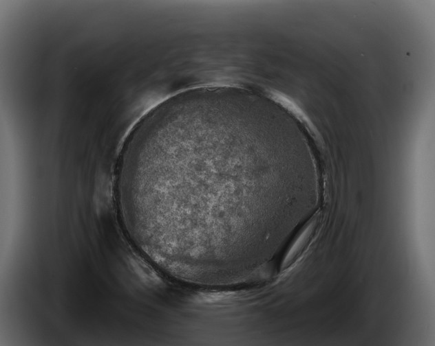 X0000085761260200703231147
