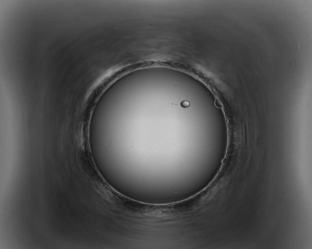 X0000085761262200703231147