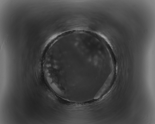X0000085761263200703231147