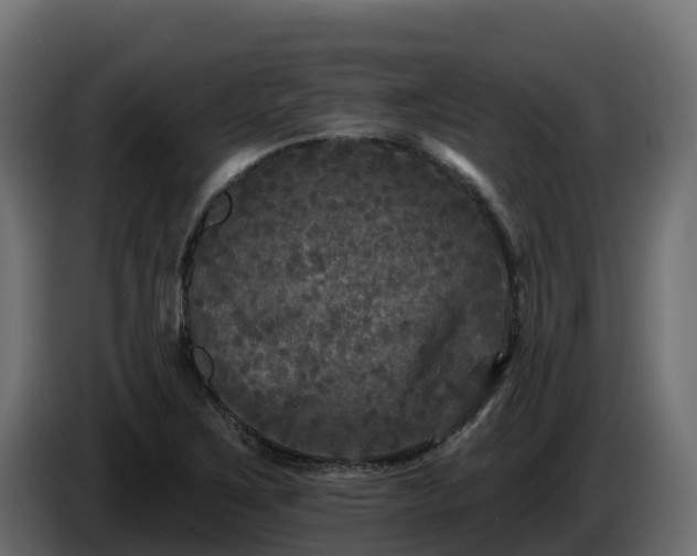 X0000085761267200703231147