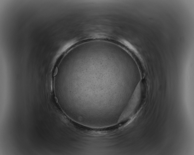 X0000085761269200703231146