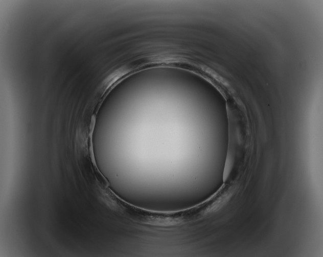 X0000085761273200703231146