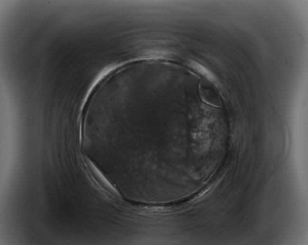 X0000085761275200703231146