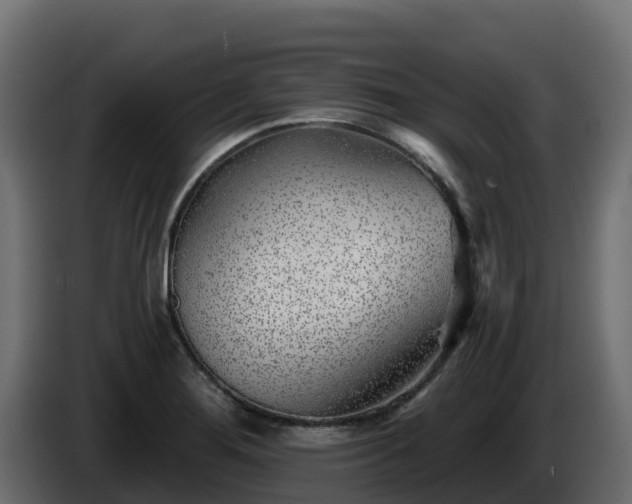X0000085761276200703231146