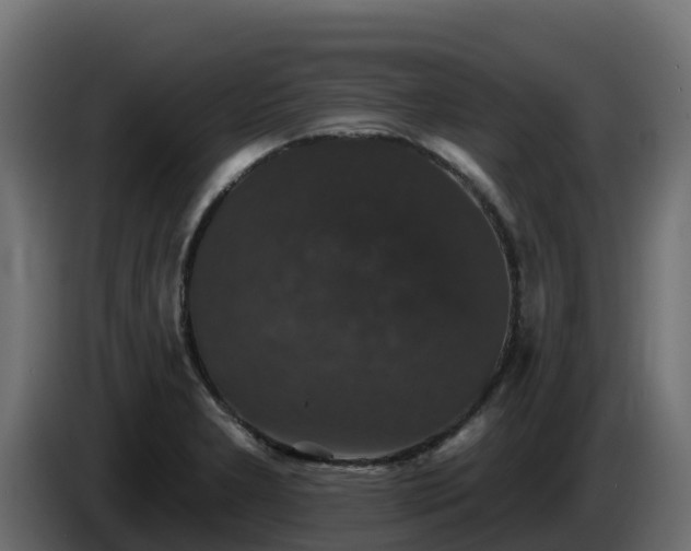 X0000085761277200703231146