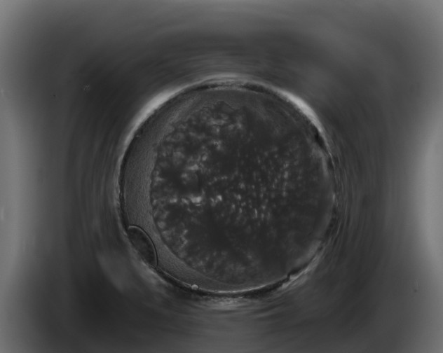 X0000085761279200703231146