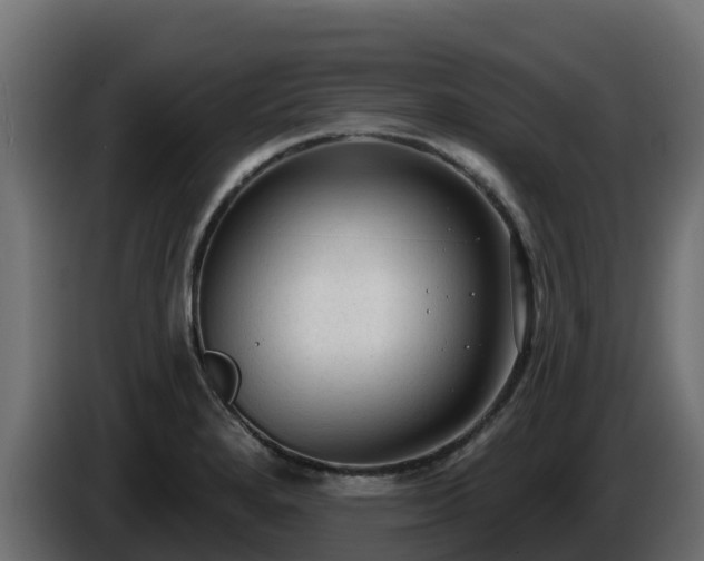 X0000085761280200703231146