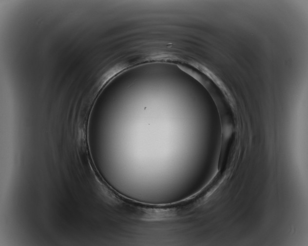 X0000085761281200703231146
