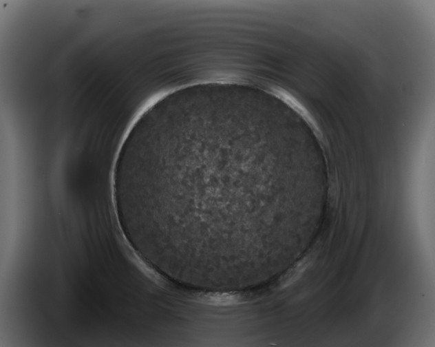 X0000085761283200703231146