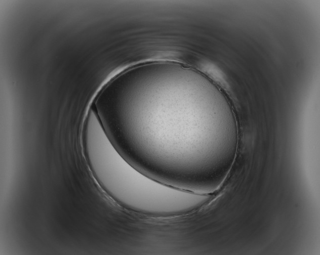 X0000085761284200703231146