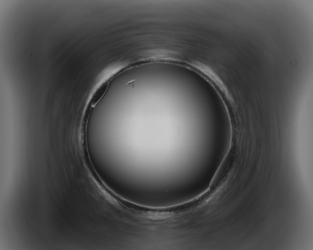 X0000085761285200703231146