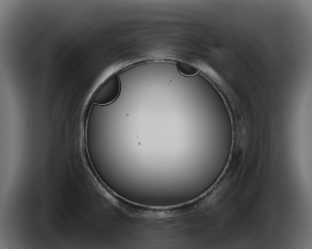X0000085761286200703231146