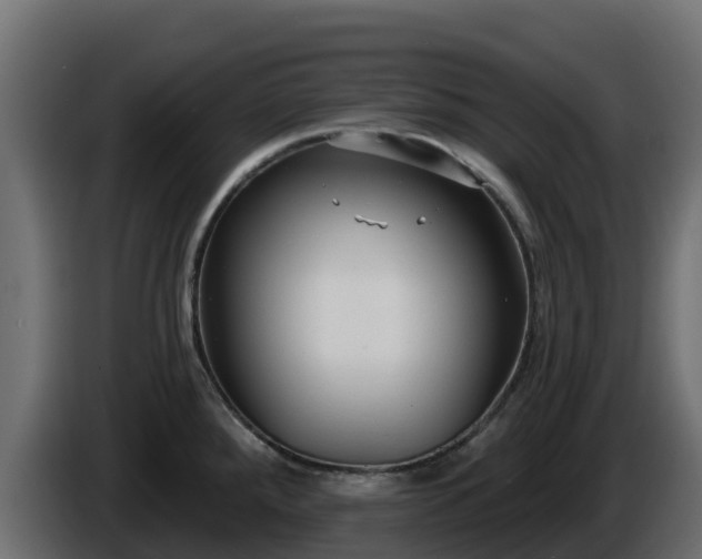 X0000085761288200703231146
